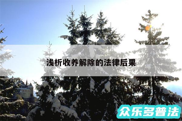 浅析收养解除的法律后果