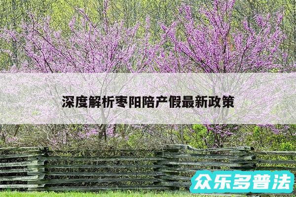 深度解析枣阳陪产假最新政策