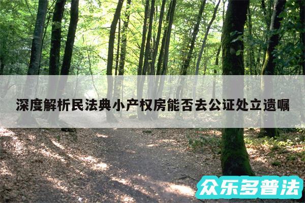 深度解析民法典小产权房能否去公证处立遗嘱
