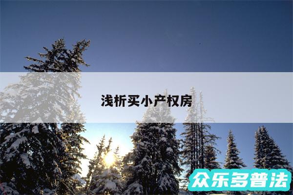 浅析买小产权房