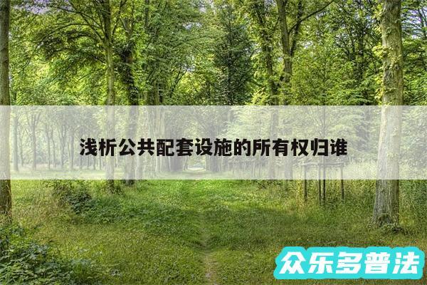 浅析公共配套设施的所有权归谁