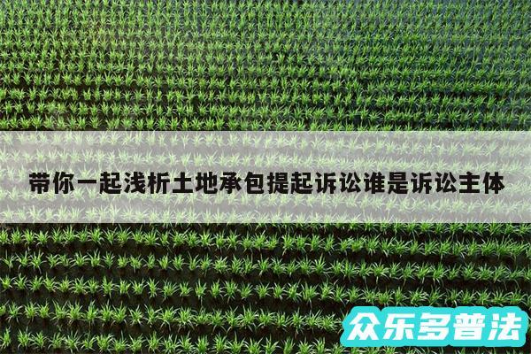 带你一起浅析土地承包提起诉讼谁是诉讼主体