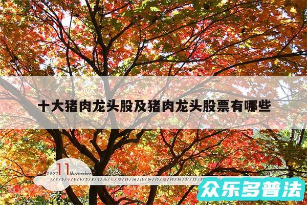 十大猪肉龙头股及猪肉龙头股票有哪些