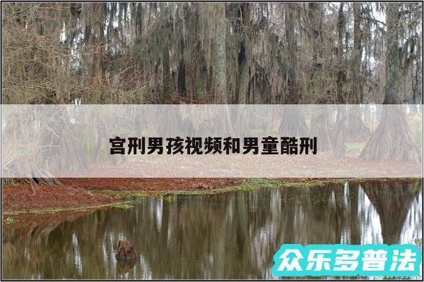 宫刑男孩视频和男童酷刑