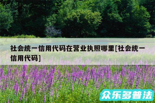 社会统一信用代码在营业执照哪里及社会统一信用代码