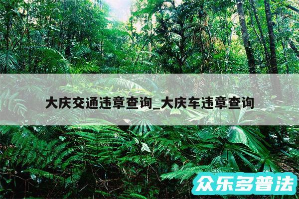 大庆交通违章查询_大庆车违章查询