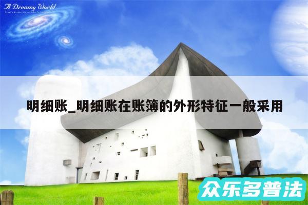 明细账_明细账在账簿的外形特征一般采用