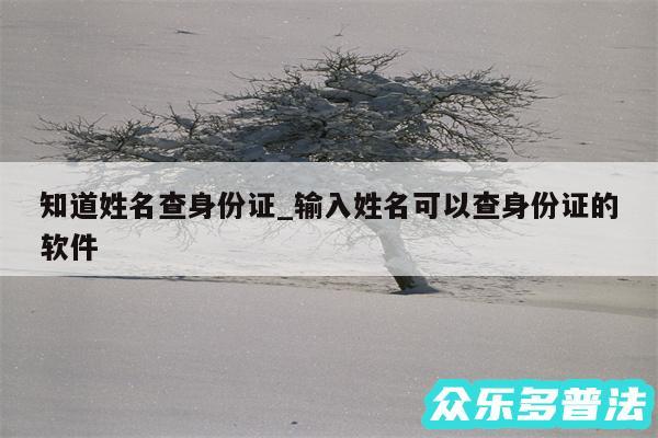 知道姓名查身份证_输入姓名可以查身份证的软件