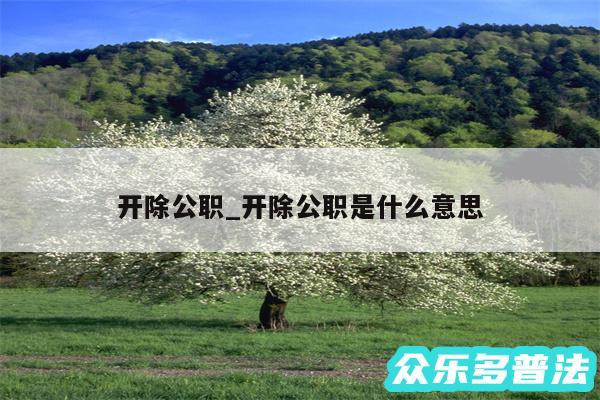 开除公职_开除公职是什么意思